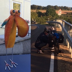 Noch so ein komischer Vogel und Kettenverlust in der Steilkurve