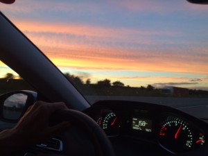 IMG_1501