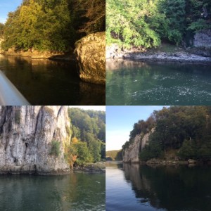 Image-1
