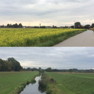 Image-1