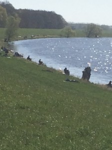 IMG_2974