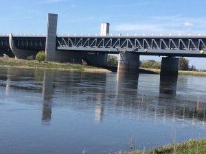 IMG_2996