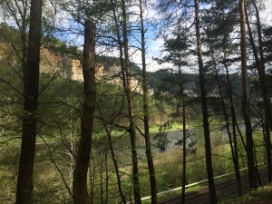IMG_3051