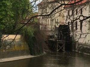 der kleine Wassermann
