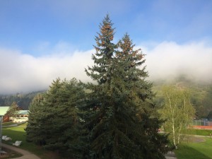 IMG_3186