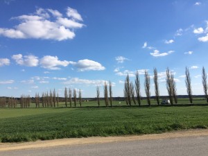 IMG_3199