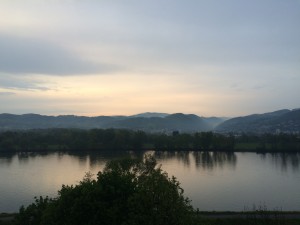 IMG_3245