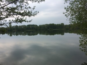 IMG_3255