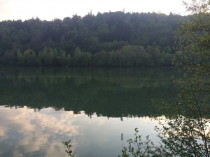 IMG_3272