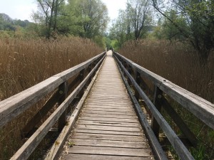 IMG_3286