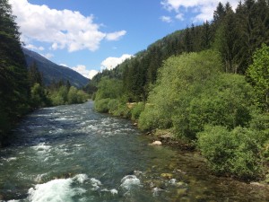 IMG_3379