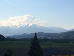IMG_3381